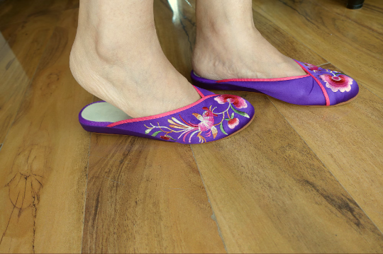 Silk Embroidered Slippers